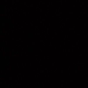 Meet your Posher, Tyra